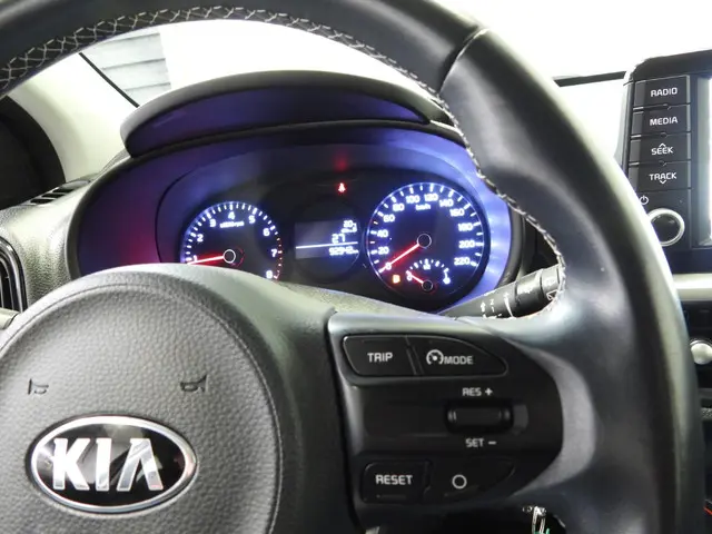 Kia Picanto 1.0 MPi DynamicLine 2019 Benzine 14