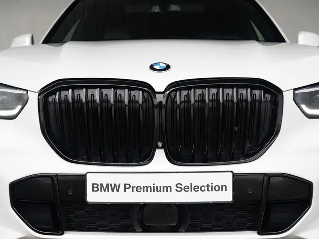 BMW X5 xDrive30d 2019 Diesel 15