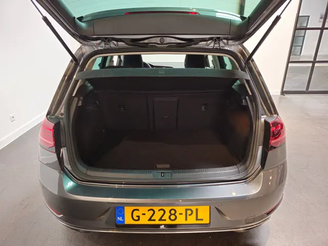 Volkswagen e-Golf E-DITION 2019 Elektrisch 25