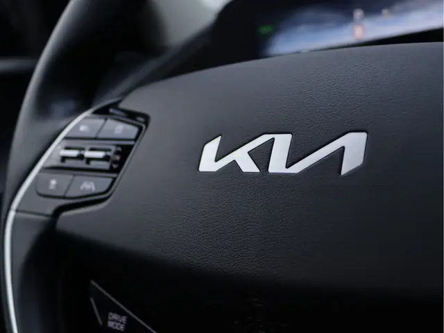 Kia Niro EV ExecutiveLine 64.8 kWh 2022 Elektrisch 81