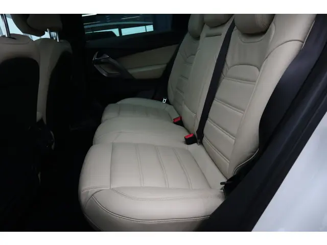 DS DS 5 1.6 THP Business Executive 2016 Benzine 5