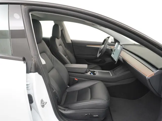 Tesla Model 3 Standard RWD Plus 60 kWh 2021 Elektrisch 45