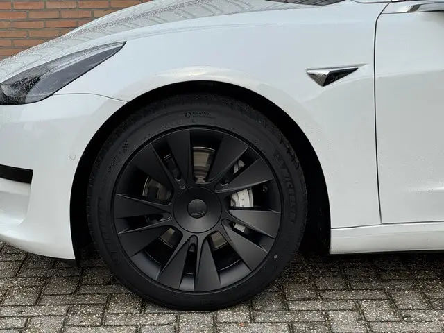 Tesla Model 3 Standard RWD Plus 89% SoH 2020 Elektrisch 3