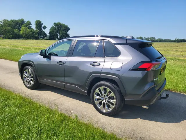 Toyota RAV4 2.0 VVT-iE Executive 2019 Benzine 6