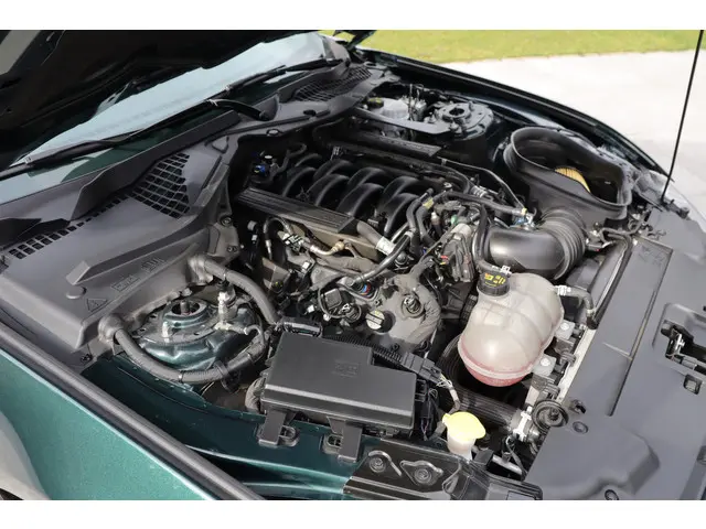 Ford Mustang Fastback Bullitt 2019 Benzine 47