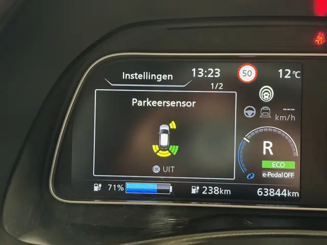 Nissan Leaf e+ Tekna 62 kWh 2019 Elektrisch 35