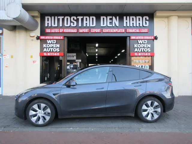 Tesla Model Y RWD 58 kWh 2023 Elektrisch 5