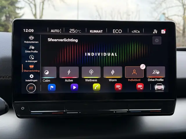 CUPRA Born Business 62 kWh 2022 Elektrisch 26