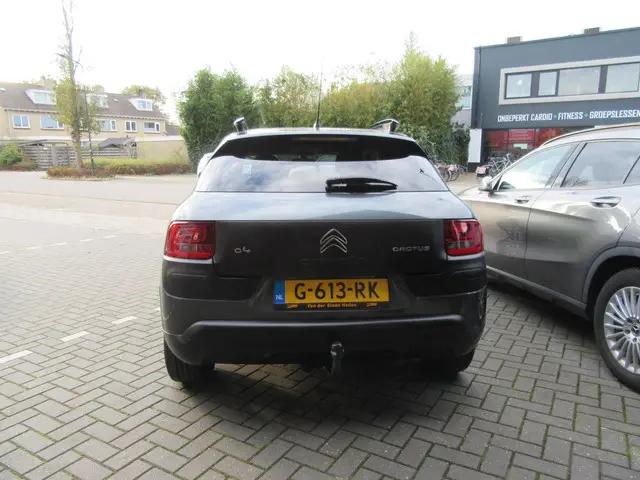 Citroën C4 Cactus 1.2 PureTech Shine 2016 Benzine 6