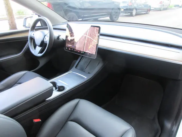 Tesla Model Y Long Range AWD 75 kWh 2022 Elektrisch 10