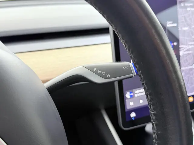Tesla Model 3 Long Range AWD 75 kWh 2019 Elektrisch 28