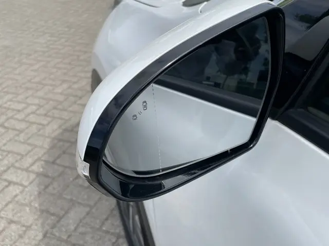 Kia e-Niro ExecutiveLine 64 kWh 2019 Elektrisch 14