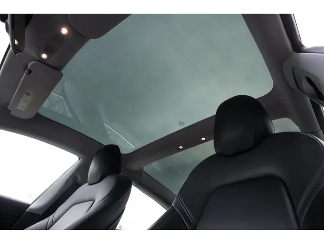 Tesla Model 3 Long Range AWD 75 kWh 2019 Elektrisch 15