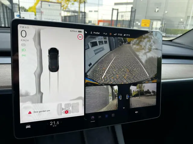 Tesla Model Y Performance AWD 75 kWh 2022 Elektrisch 10