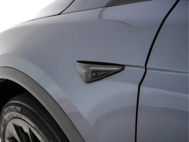 Tesla Model X 100D AWD [ 3-Fase ] 2018 Elektrisch 27