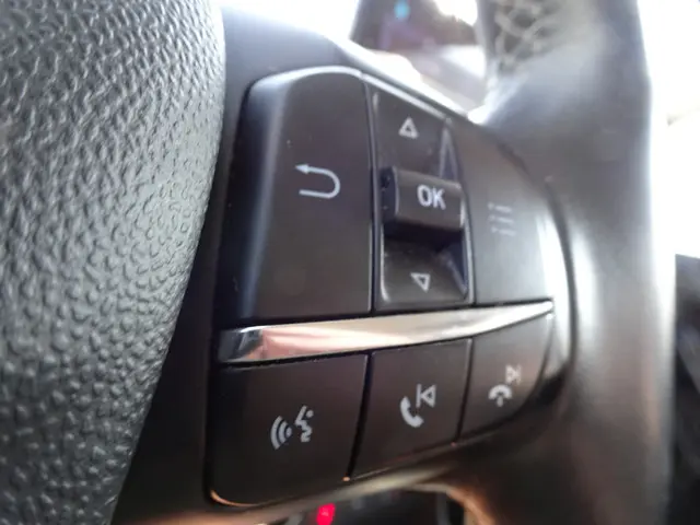 Ford Fiesta 1.0 EcoBoost Active 2019 Benzine 19