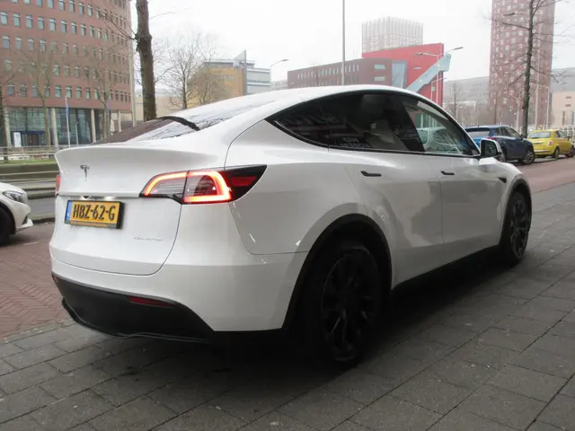 Tesla Model Y Long Range AWD 75 kWh 2021 Elektrisch 3