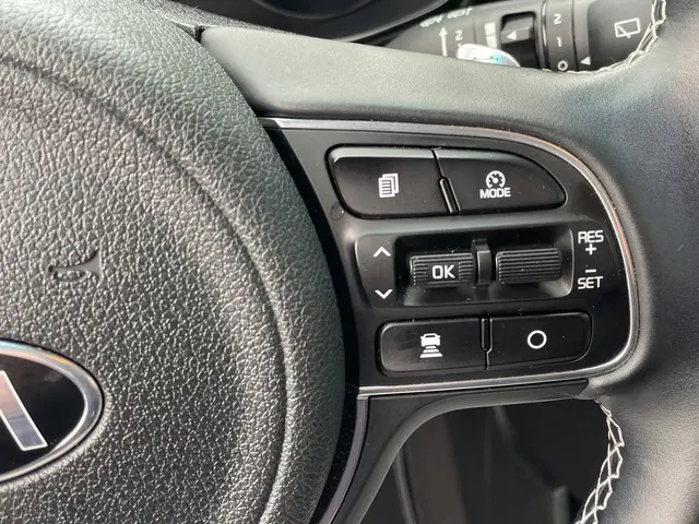 Kia e-Niro DynamicPlusLine 64 kWh 2021 Elektrisch 14