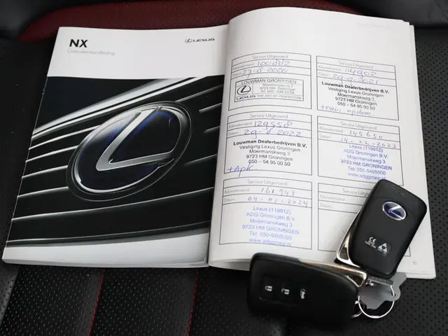 Lexus NX 300h AWD F Sport Line 2014 Hybride Benzine 11