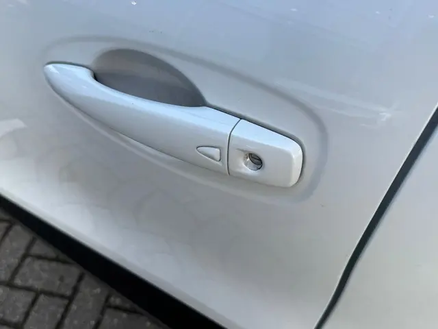 Renault Kadjar 1.3 TCe Intens 2020 Benzine 32