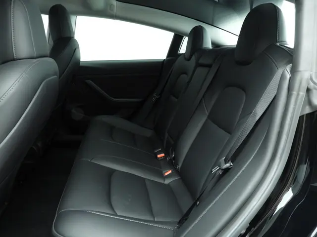 Tesla Model 3 Standard RWD Plus 60 kWh 2023 Elektrisch 9