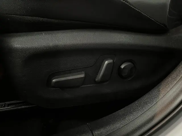 Kia e-Niro ExecutiveLine 64 kWh 2020 Elektrisch 38