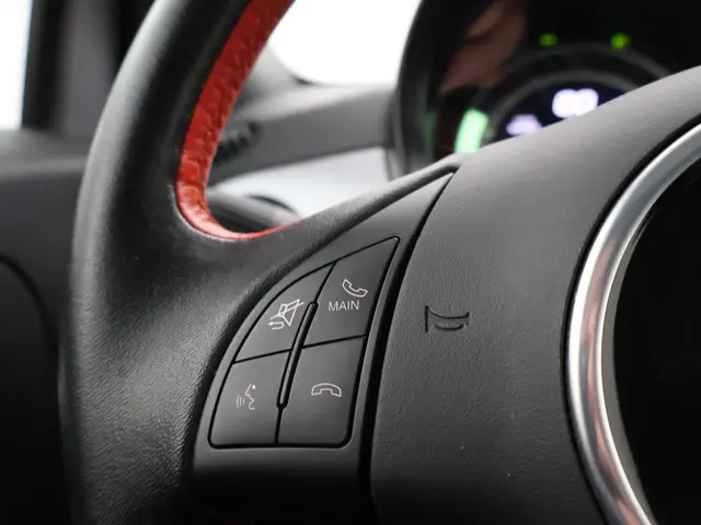 Fiat 500e 24kwh 2015 Elektrisch 29