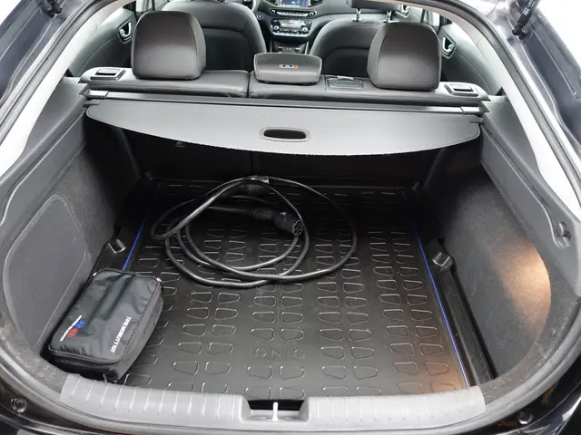 Hyundai IONIQ Premium+ EV Aut- 2019 Elektrisch 39