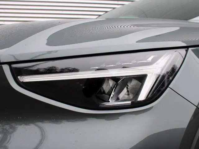 Volvo XC40 2.0 B4 Plus Dark 2025 Benzine 6