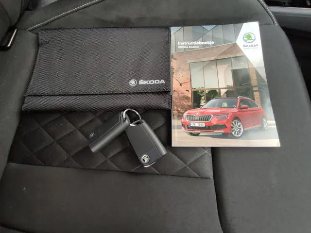 Škoda Kamiq 1.0 TSI DSG Sport Business 2021 Benzine 31