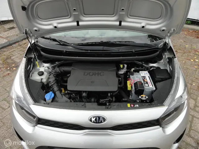 Kia Picanto 1.0 CVVT EconomyLine 2017 Benzine 8