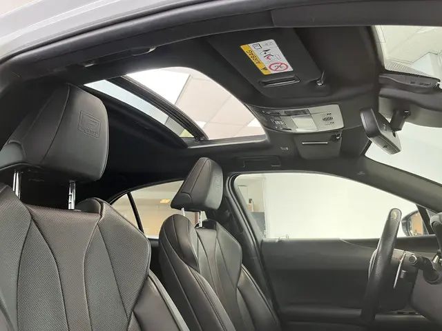 Lexus UX 250h AWD F Sport Premium 2019 Hybride Benzine 20