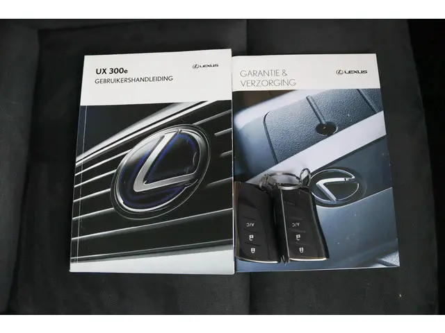 Lexus UX 300e Business 54 kWh 2021 Elektrisch 11