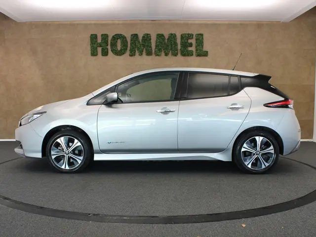 Nissan Leaf e+ Tekna 62 kWh 2019 Elektrisch 12