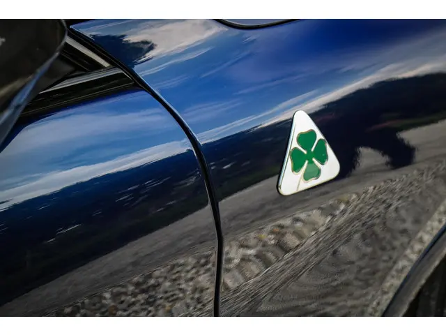 Alfa Romeo Stelvio 2.9 V6 AWD Quadrifoglio 2020 Benzine 24