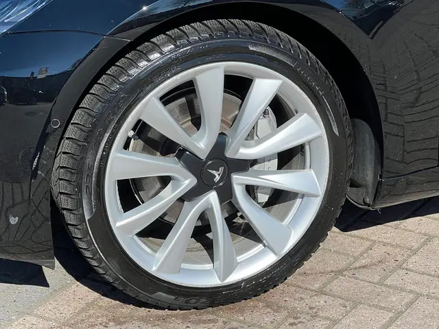 Tesla Model 3 Long Range AWD 75 kWh 2019 Elektrisch 11
