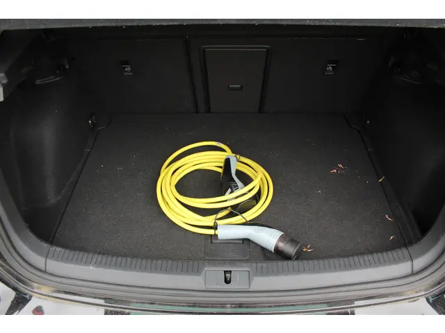 Volkswagen e-Golf E-DITION 2020 Elektrisch 15