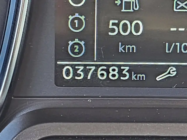 Opel Vivaro 2.0 2020 Diesel 8