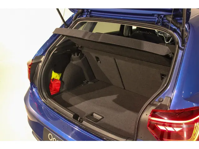 Volkswagen Polo 1.0 TSI Business PANO | IQ 2024 Benzine 15