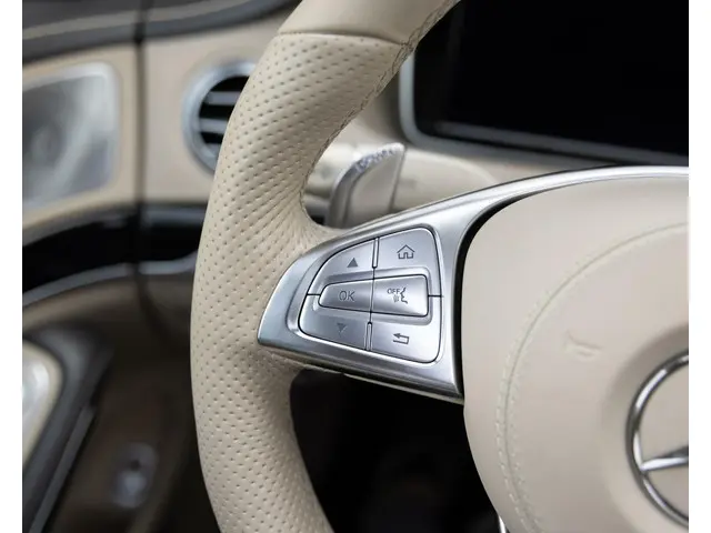 Mercedes-Benz S-Klasse AMG 65 Lang 2016 Benzine 107