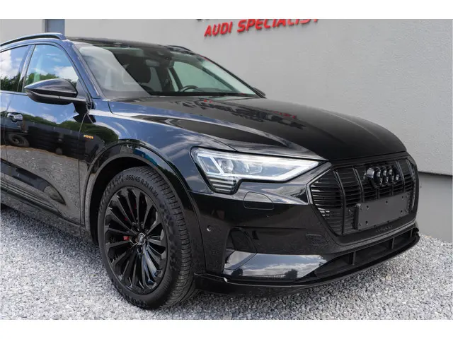 Audi e-tron 50 Quattro 2019 Elektrisch 14