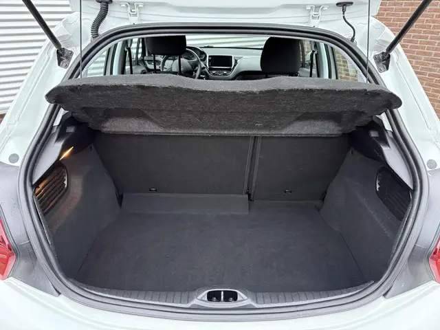 Peugeot 208 1.2 PureTech Blue Lion 2018 Benzine 29