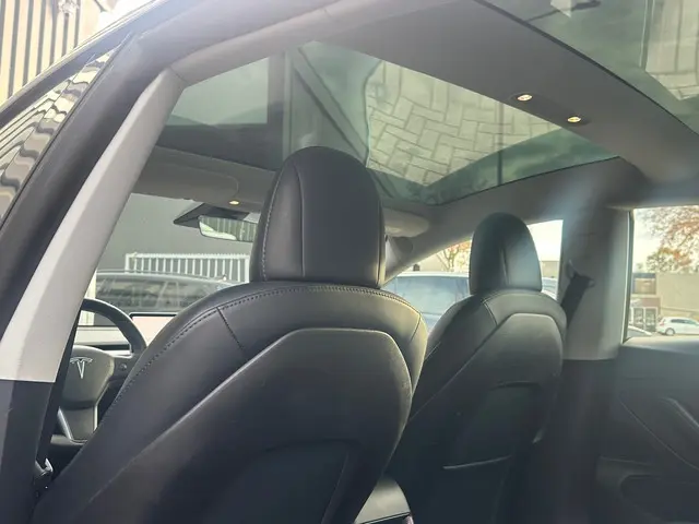 Tesla Model 3 Standard RWD Plus 60 kWh 2020 Elektrisch 22