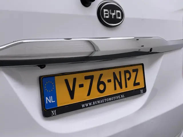 BYD ETP3 Standard 45 kWh 2023 Elektrisch 10