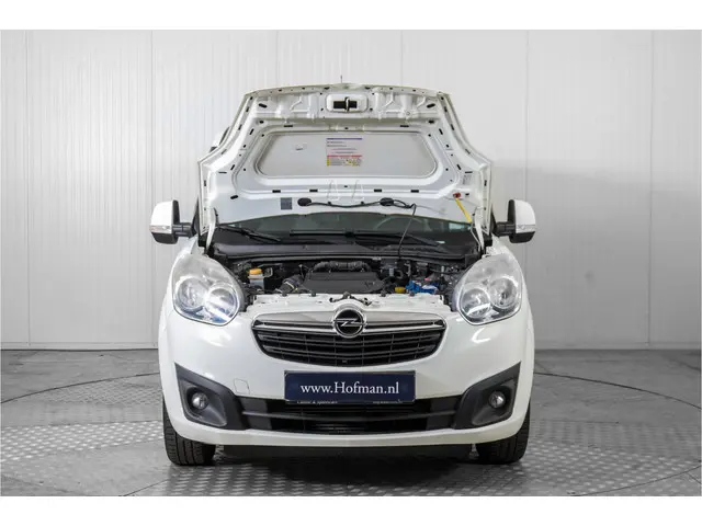 Opel Combo 1.3 CDTi L1H1 ecoFLEX Sport 2015 Diesel 32