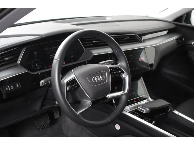 Audi e-tron 55 Quattro Advanced 2019 Elektrisch 43