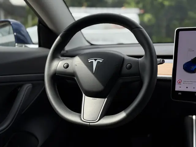 Tesla Model 3 Range Plus 2020 Elektrisch 18