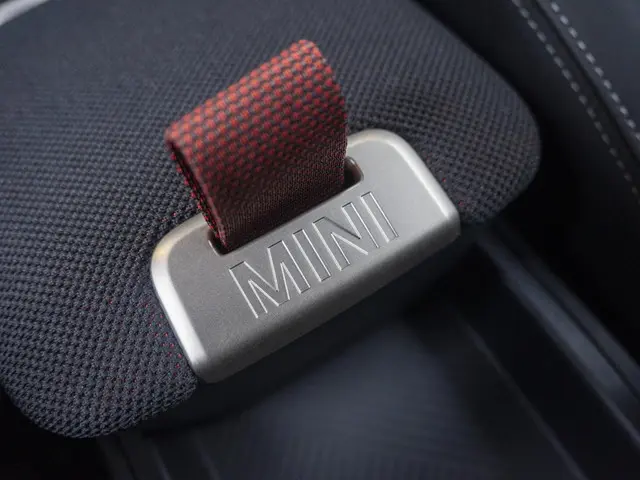 MINI Countryman E 2024 Elektrisch 38