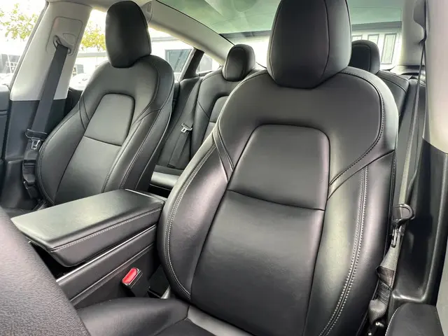 Tesla Model 3 Long Range AWD 75 kWh 2020 Elektrisch 20