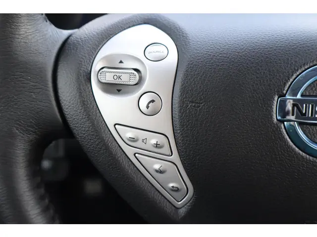 Nissan Leaf Tekna 30 kWh 2016 Elektrisch 25